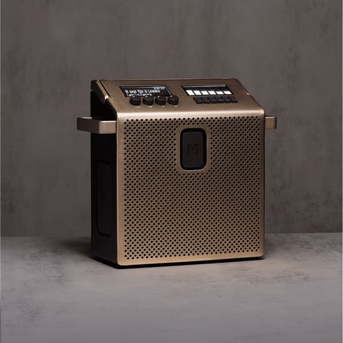 Speaker Medium Dorado